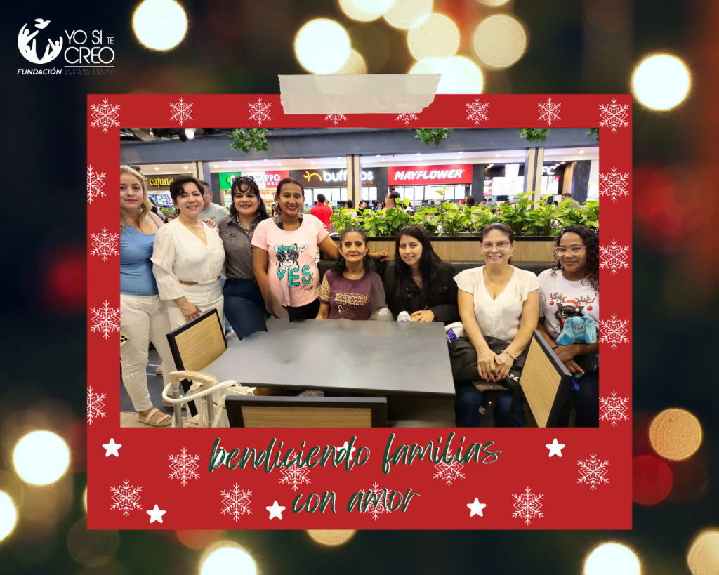 galery ystc (5)